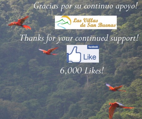 Facebook Costa Rica fans
